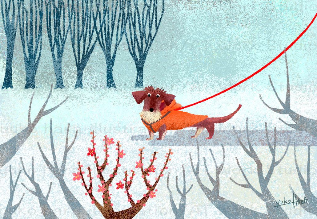 イラストレーション制作 絵本 季節の花 梅の花 犬の散歩に関するイラスト