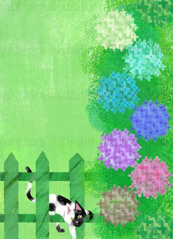 色が七変化する紫陽花と柵を超えてこちらに来る白黒の猫のイラスト