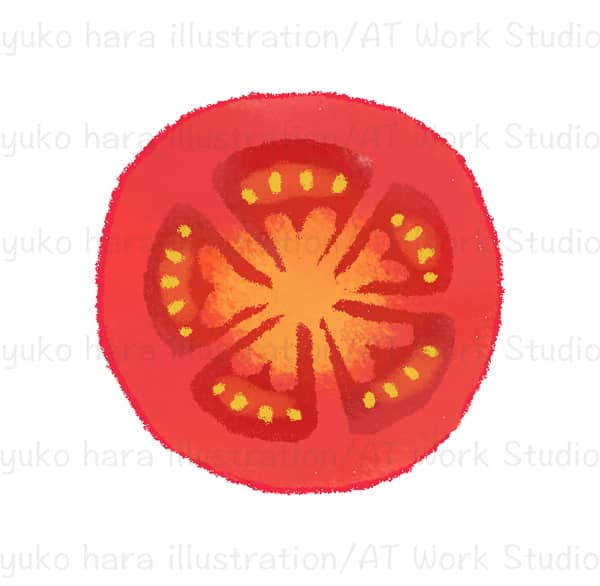 トマトを輪切りにした断面のイラスト
