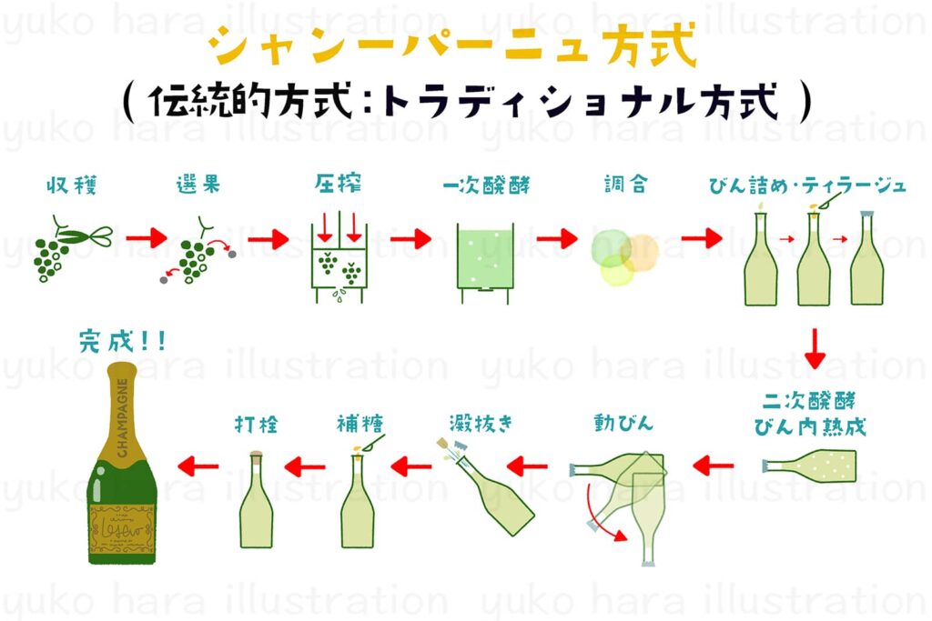シャンパーニュの醸造工程を収穫から完成までシンプルなアイコン風にざっくりと描いたイラスト