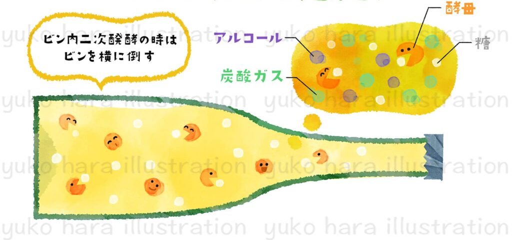 シャンパーニュ醸造の瓶内二次発酵のプロセスをイメージ風に絵本タッチで描いたイラスト