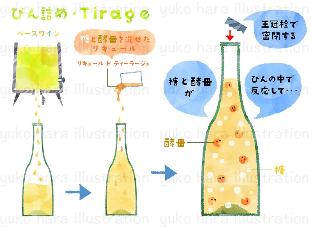 シャンパーニュ醸造の瓶詰め、ティラージュの工程をイメージ風に絵本タッチで描いたイラスト